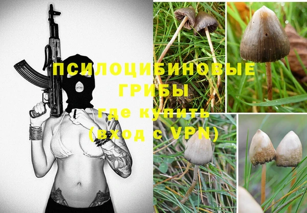 дмт Абинск