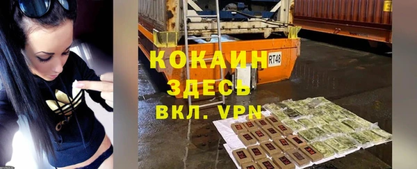 шишки Алзамай