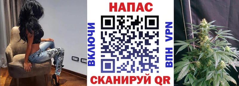 Бошки Шишки конопля  Осташков 